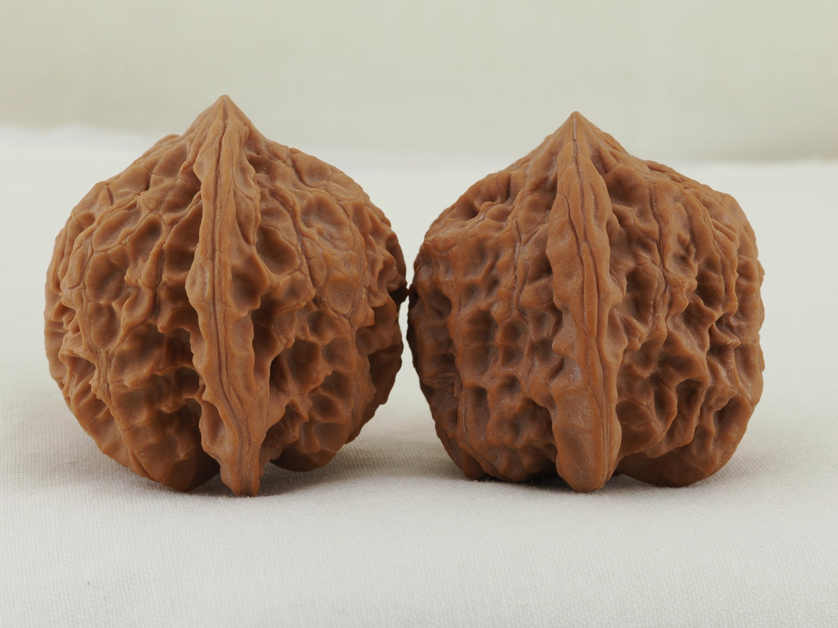Jade Seal walnut pair (Yu Xi) — WW-00054, exact pair view