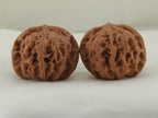Palace Lantern walnut pair (Gong Deng) — WW-00056, front view