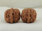 Palace Lantern walnut pair (Gong Deng) — WW-00056, opposite side view