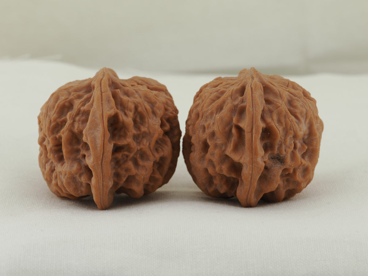Palace Lantern walnut pair (Gong Deng) — WW-00056, opposite side view