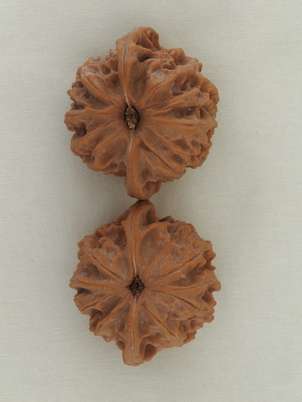Palace Lantern walnut pair (Gong Deng) — WW-00056, base view