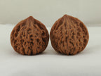 Lantern walnut pair (Deng Lou) — WW-00057, front view