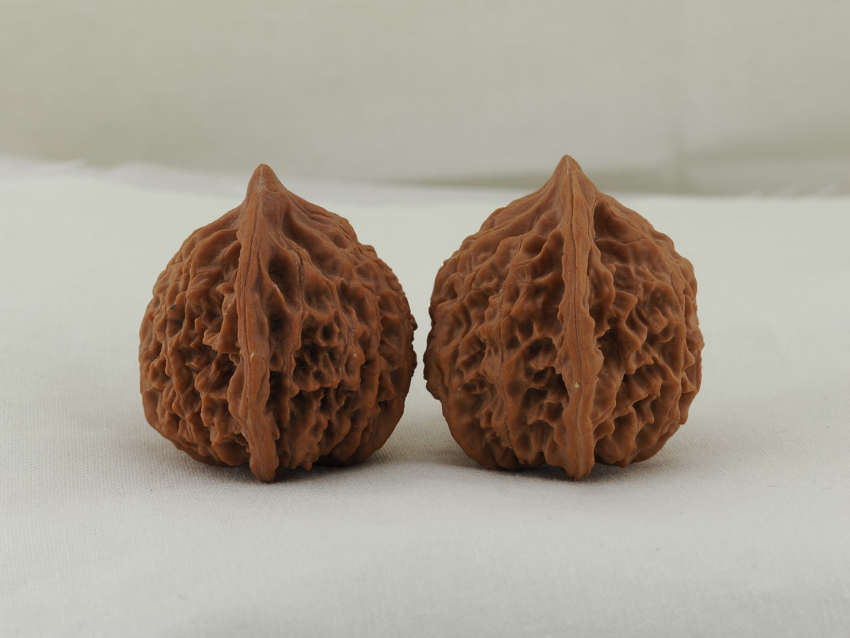 Lantern walnut pair (Deng Lou) — WW-00057, side view