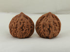 Lantern walnut pair (Deng Lou) — WW-00057, reverse view