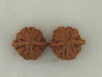 Lantern walnut pair (Deng Lou) — WW-00057, crown view