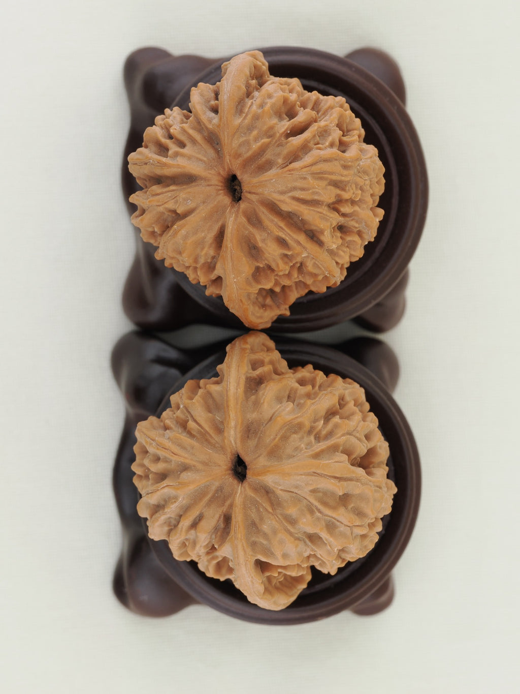 Lantern walnut pair (Deng Lou) — WW-00057, base view