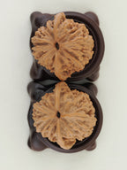 Lantern walnut pair (Deng Lou) — WW-00057, base view